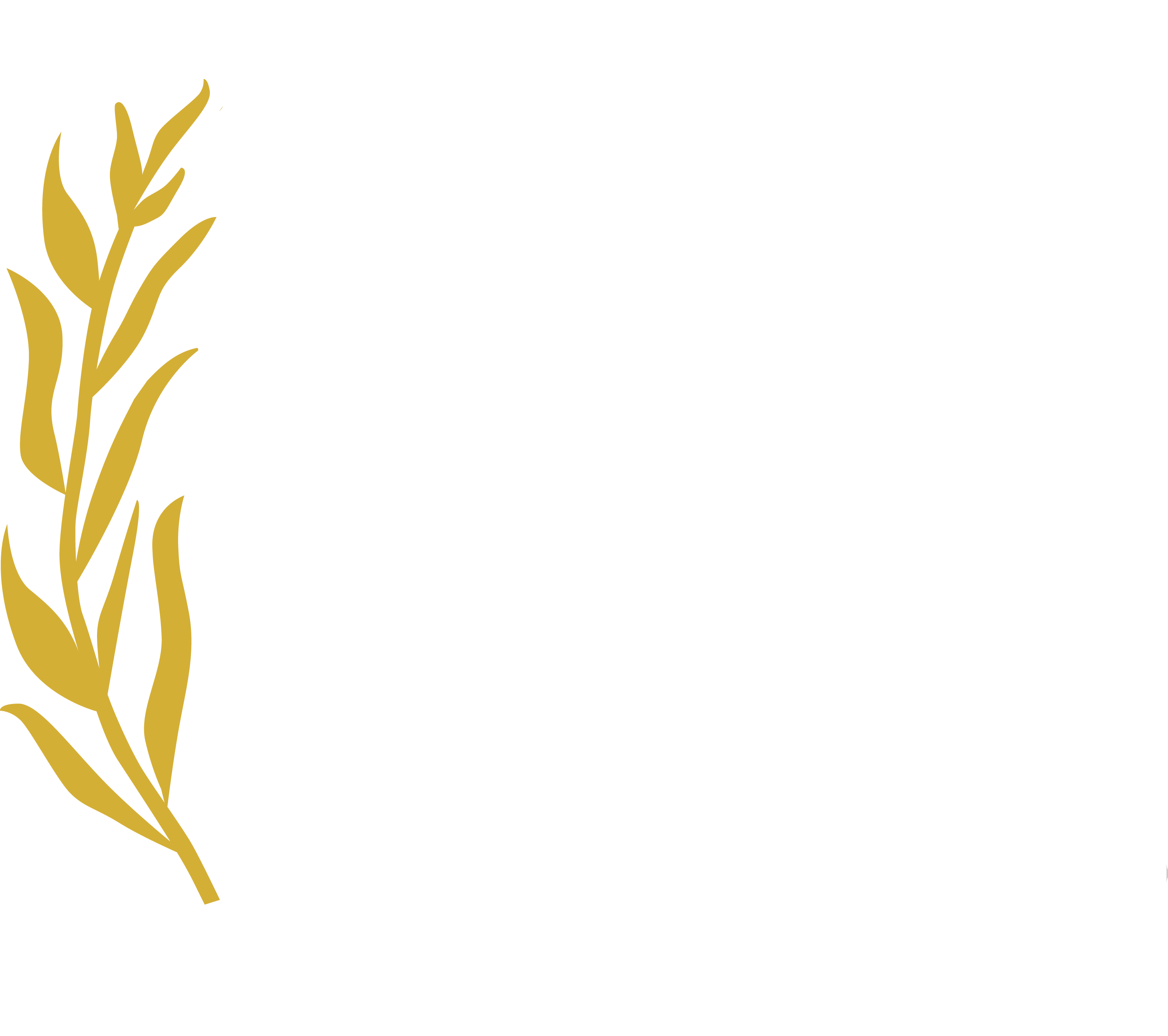 Beverly Hills Film Festival Official Site